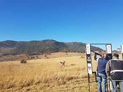 A clay target in flight against the bushveld
